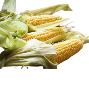 How to Reheat and Serve Frozen Corn